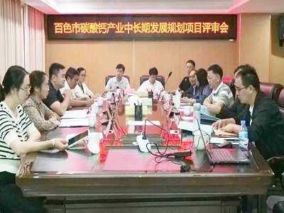 百色市召开碳酸钙产业中长期发展规划项目评审会