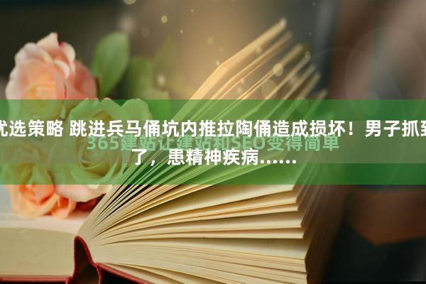 优选策略 跳进兵马俑坑内推拉陶俑造成损坏！男子抓到了，患精神疾病......