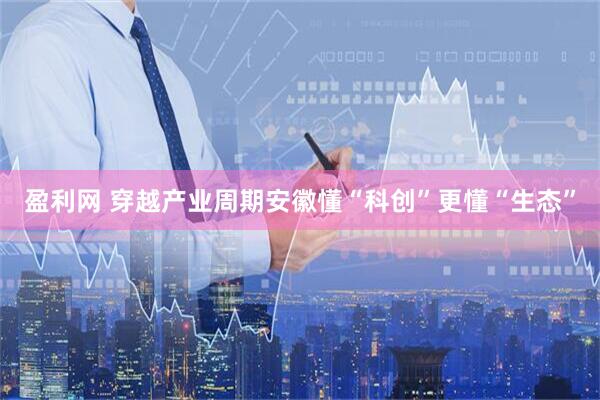 盈利网 穿越产业周期安徽懂“科创”更懂“生态”