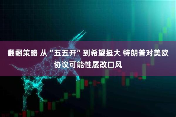 翻翻策略 从“五五开”到希望挺大 特朗普对美欧协议可能性屡改口风