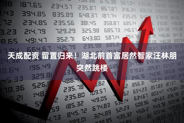 天成配资 留置归来！湖北前首富居然智家汪林朋突然跳楼