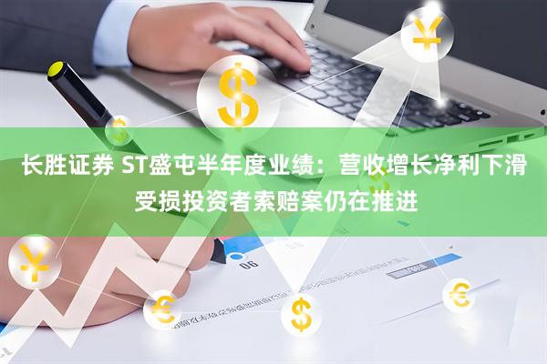 长胜证券 ST盛屯半年度业绩：营收增长净利下滑 受损投资者索赔案仍在推进