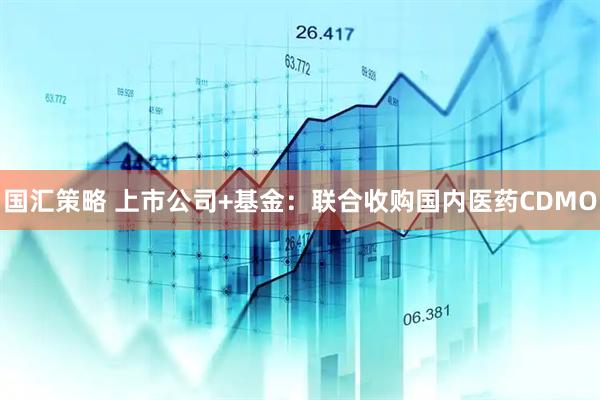国汇策略 上市公司+基金：联合收购国内医药CDMO