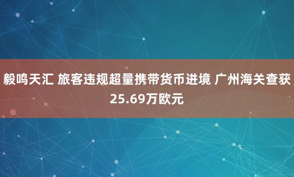 毅鸣天汇 旅客违规超量携带货币进境 广州海关查获25.69万欧元