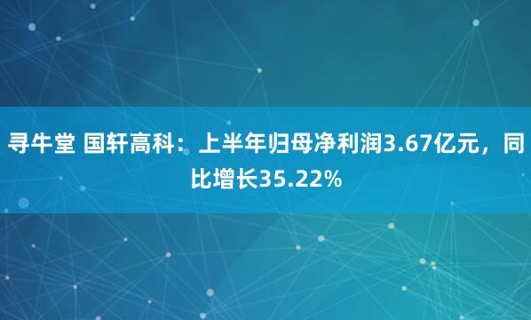 寻牛堂 国轩高科：上半年归母净利润3.67亿元，同比增长35.22%