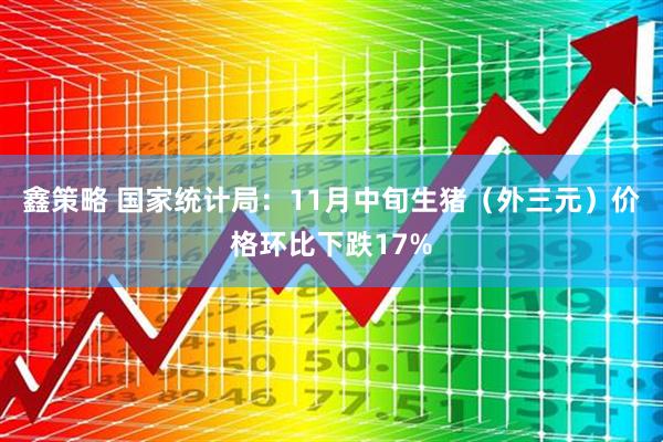 鑫策略 国家统计局：11月中旬生猪（外三元）价格环比下跌17%
